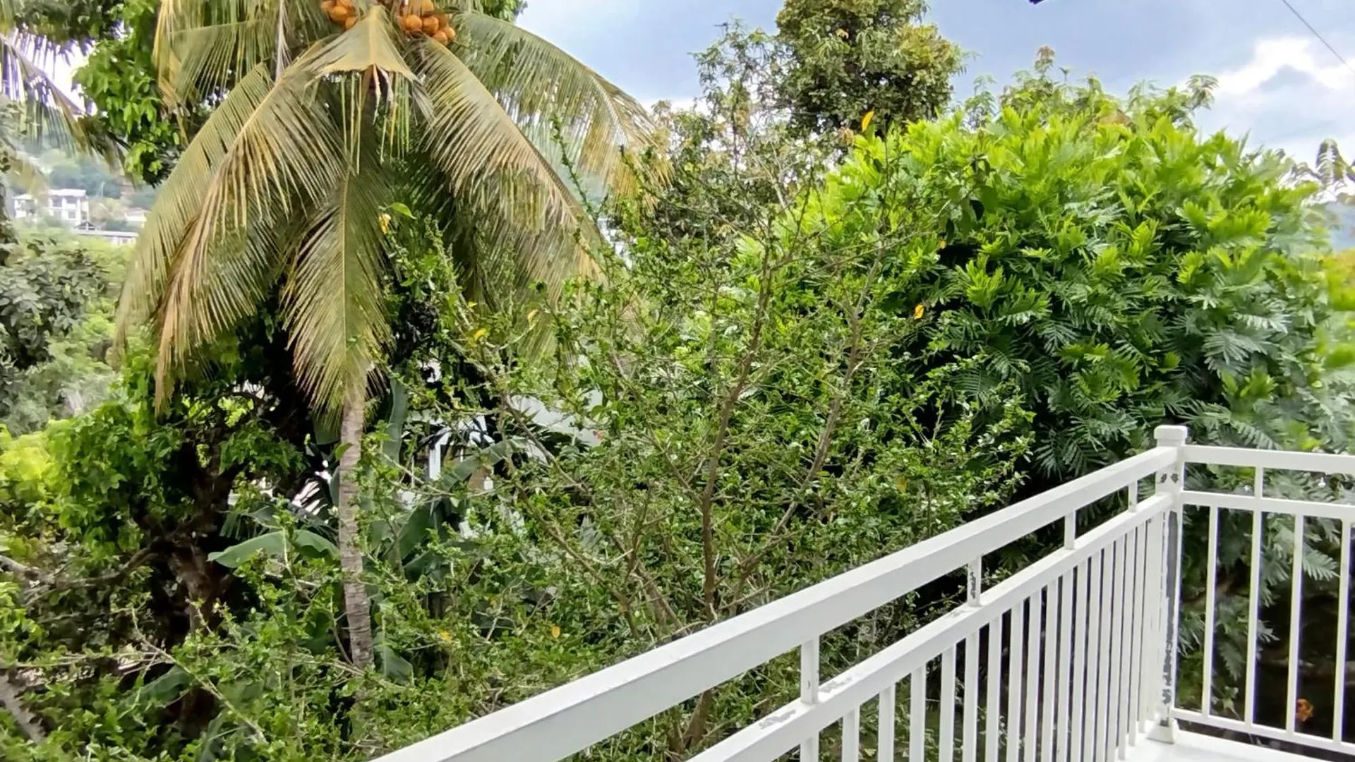 Boztreve Home Kandy Bed & Breakfast